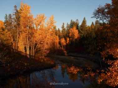 fall, edmonton, mill creek ravine