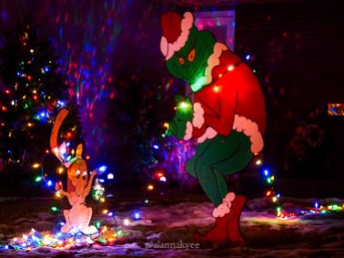 edmonton, holiday lights, christmas, candy cane lane, winter, december