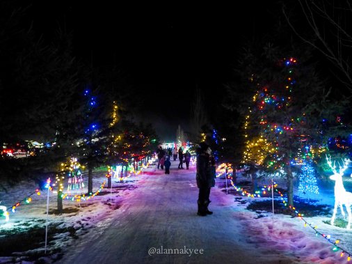 edmonton, holiday lights, christmas, leduc country lights, winter, december