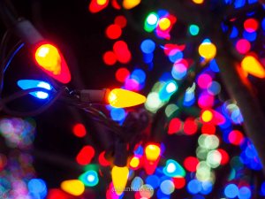 edmonton, holiday lights, christmas, leduc country lights, winter, december
