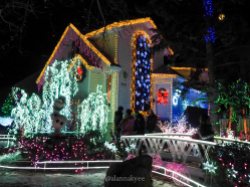 edmonton, holiday lights, christmas, christmas at bob's, winter, december