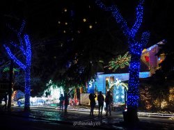 edmonton, holiday lights, christmas, christmas at bob's, winter, december