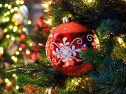yeg, december, christmas, festival of trees