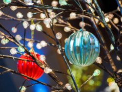 yeg, december, christmas, festival of trees